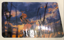 Demon slayer 7