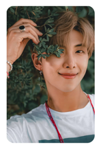 Kim Namjoon 16 (R.M)