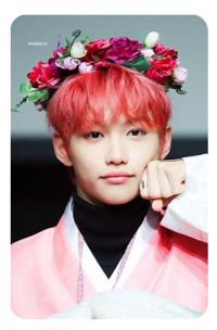 Felix 10