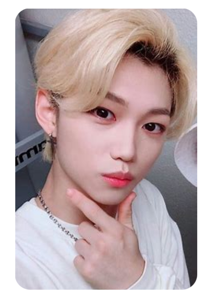 Felix 11
