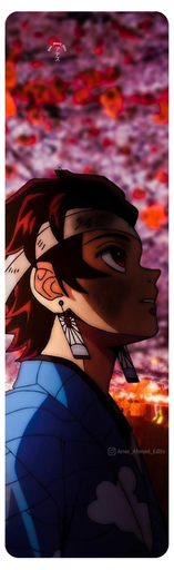 Demon slayer 9