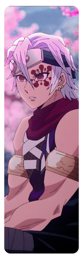 Demon slayer 14