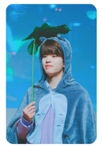 Seungmin 11