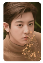 Chanyeol 10