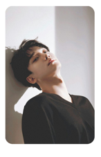 Chen 7