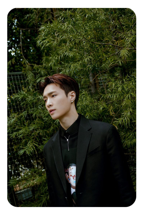 Lay 7