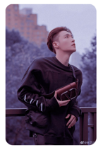 Lay 8