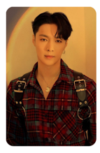 Lay 11