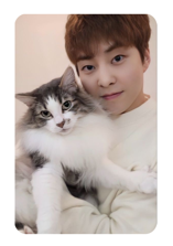 Xiumin 11