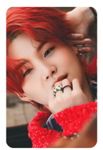 Suga 11