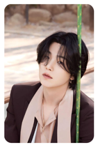 Suga 15